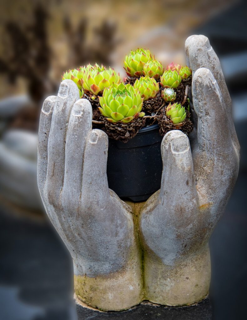 Concrete hands holding a small pot with green succulent plants, adding an artistic touch to the display